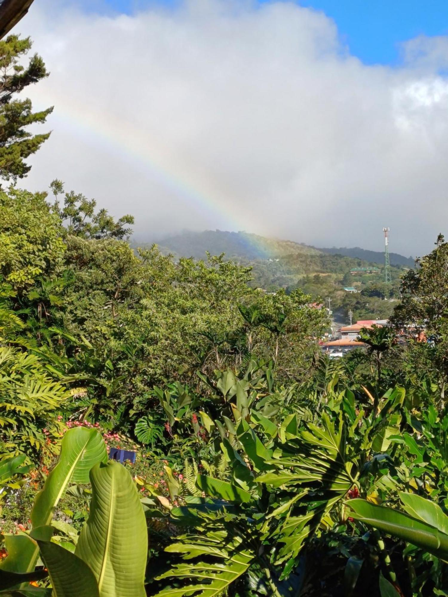 Hotel Claro De Luna Monteverde Eksteriør bilde