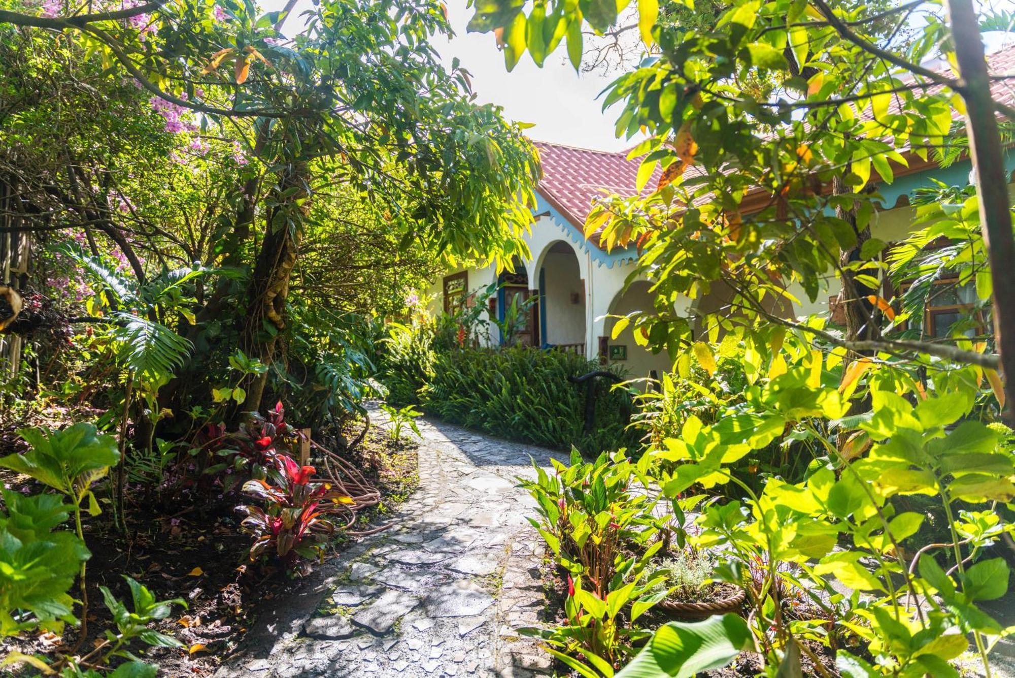 Hotel Claro De Luna Monteverde Eksteriør bilde