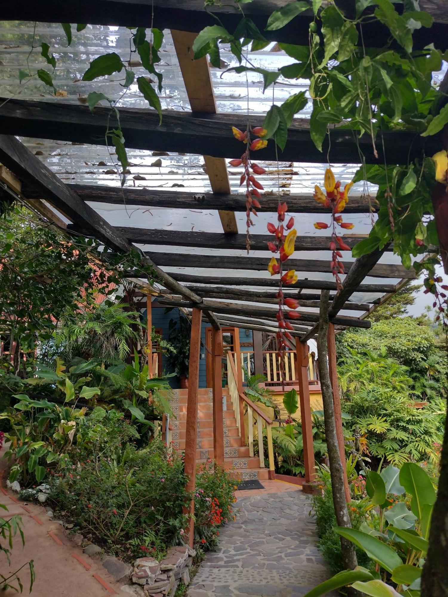 Hotel Claro De Luna Monteverde Eksteriør bilde