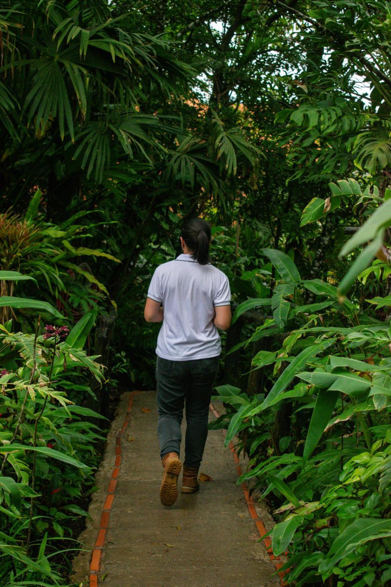 Hotel Claro De Luna Monteverde Eksteriør bilde
