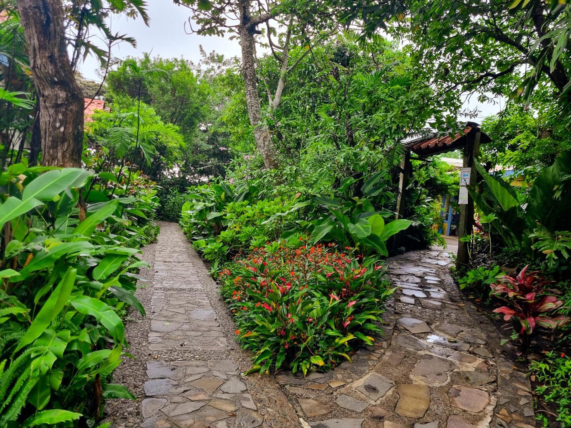 Hotel Claro De Luna Monteverde Eksteriør bilde