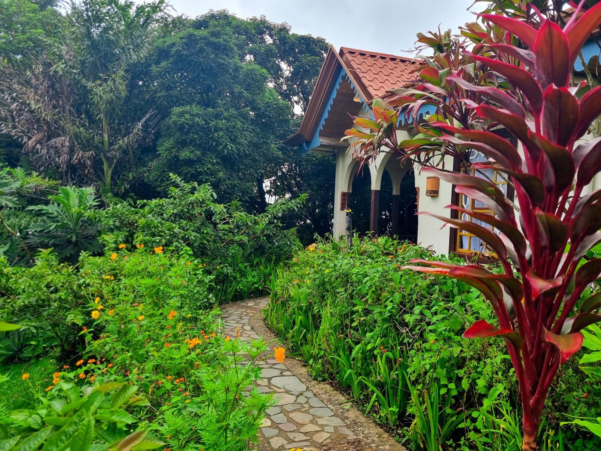Hotel Claro De Luna Monteverde Eksteriør bilde